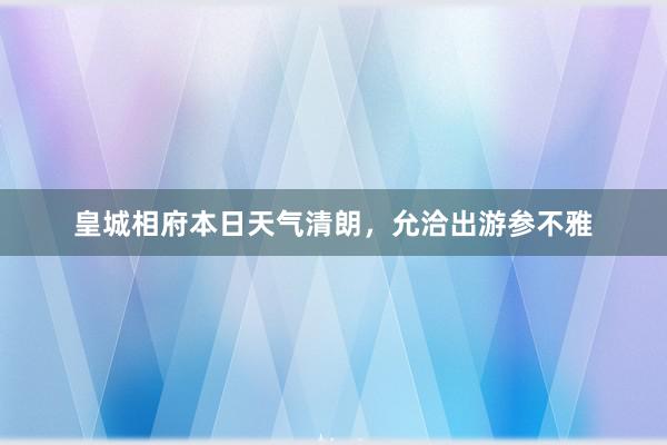 皇城相府本日天气清朗，允洽出游参不雅